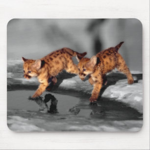 Baby Leopards Mouse Mat