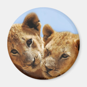 Baby lion love magnet