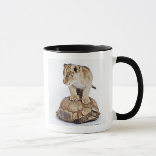 Baby lion standing on tortoise, white background mug