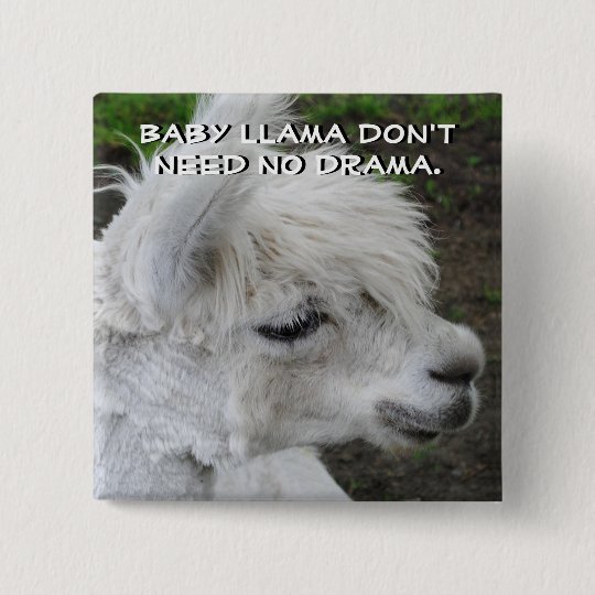 Baby Llama Don T Need No Drama 15 Cm Square Badge Zazzle Co Uk zazzle