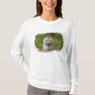Baby Lynx Looking Over A Fallen Tree T-Shirt