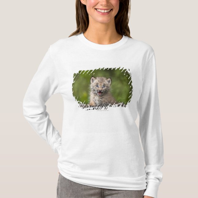 Baby Lynx  Looking Over A Fallen Tree T-Shirt (Front)