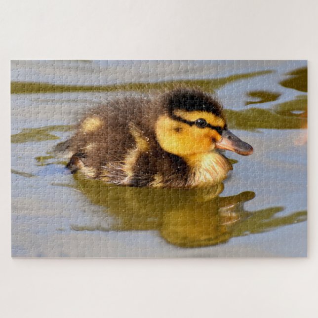 Baby Mallard Duck Swimming Jigsaw Puzzle (Horizontal)