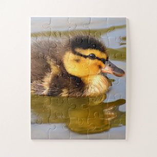 Baby Mallard Duck Swimming Jigsaw Puzzle