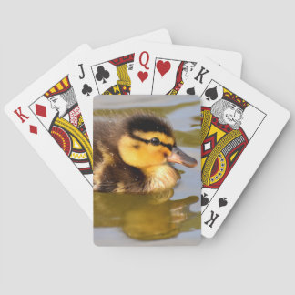 Baby Mallard Duck Swimming Playing Cards