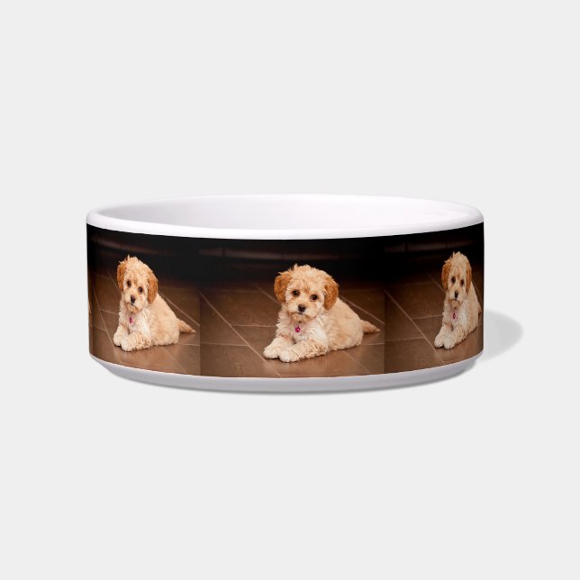 Baby Maltese poodle mix or maltipoo puppy dog Bowl (Left)
