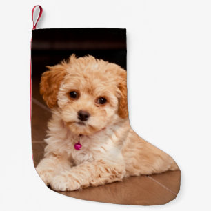 Baby Maltese poodle mix or maltipoo puppy dog Small Christmas Stocking