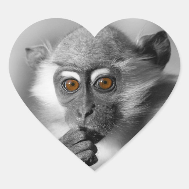 Baby Mangabey Monkey Heart Sticker (Front)