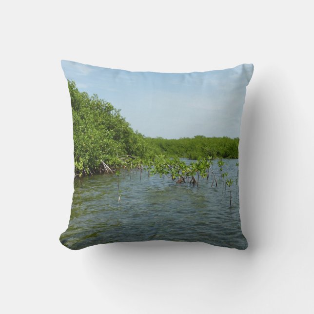 Baby Mangrove Trees in the Caribbean  Cushion (Front)