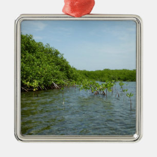 Baby Mangrove Trees in the Caribbean  Metal Tree Decoration