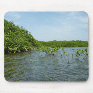 Baby Mangrove Trees in the Caribbean  Mouse Mat