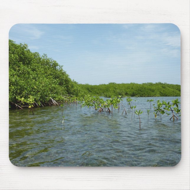 Baby Mangrove Trees in the Caribbean  Mouse Mat (Front)