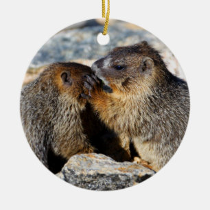 baby marmots ceramic tree decoration