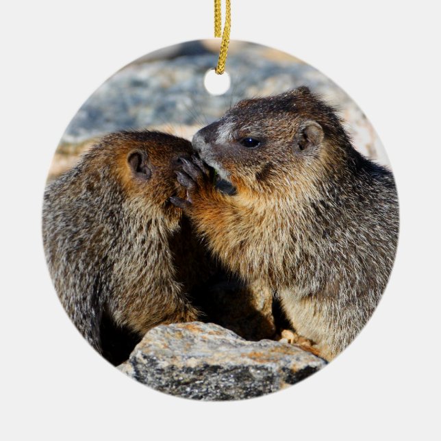 baby marmots ceramic tree decoration (Front)