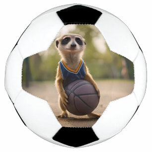 Baby Meerkat Basketball Player, Football