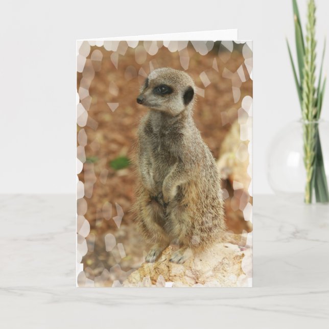 Baby Meerkat Greeting Card (Front)