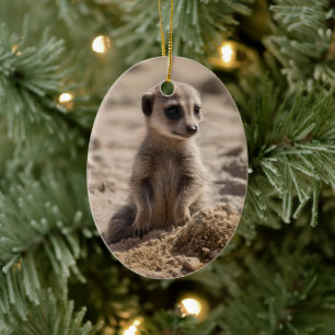 Baby Meerkat Playing In Sand, Ceramic Tree Decoration