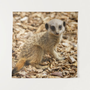 Baby Meerkat Poster Tapestry