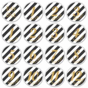 Baby Milestone Stickers