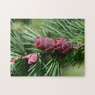 Baby Miniature Pine Cones Nature Jigsaw Puzzle
