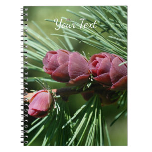 Baby Miniature Pine Cones Nature Notebook