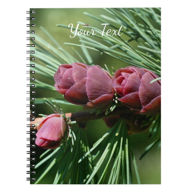 Baby Miniature Pine Cones Nature   Notebook (Front)