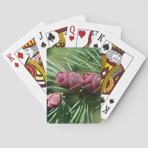 Baby Miniature Pine Cones Nature Playing Cards