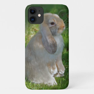 Baby Minilop Rabbit iPhone 11 Case