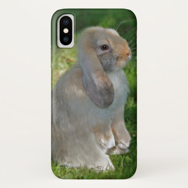 Baby Minilop Rabbit iPhone X Case (Back)