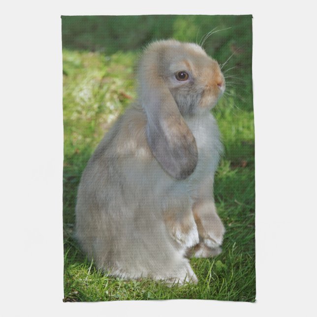 Baby Minilop Rabbit Kitchen Towel (Vertical)