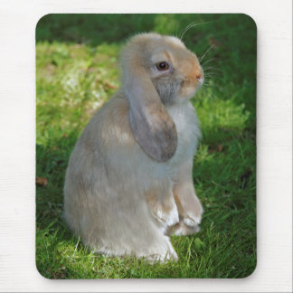 Baby Minilop Rabbit Mousemat