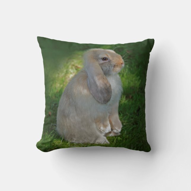 Baby Minilop Rabbit Pillow (Front)