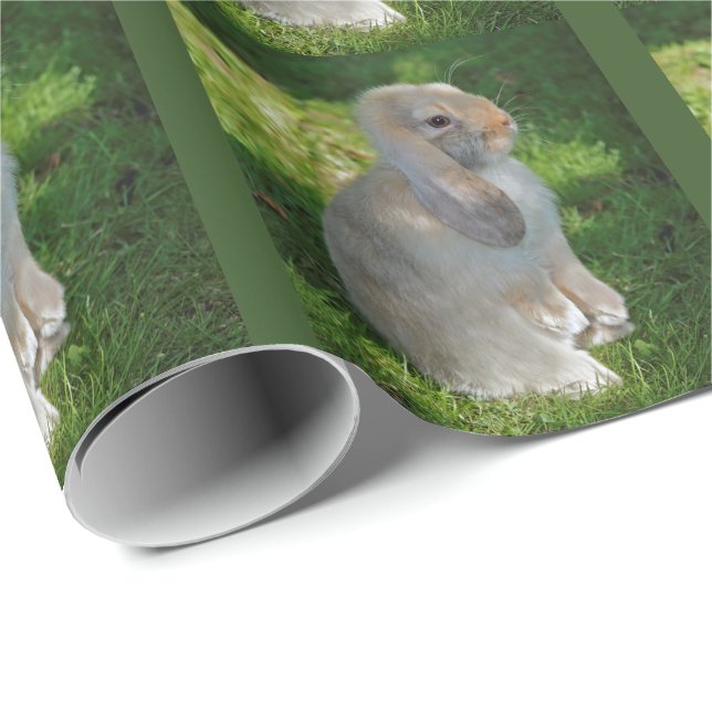 Baby Minilop Rabbit Wrapping Paper (Roll Corner)