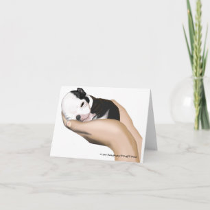 Baby Mitre Note Cards