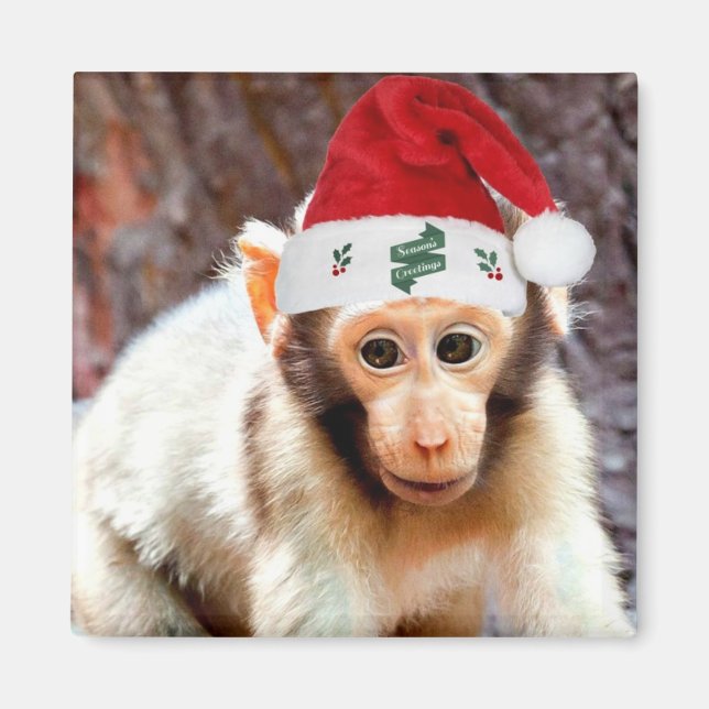 Baby Monkey at Christmas Magnet (Front)