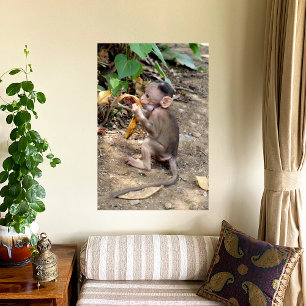 Baby Monkey Canvas Print