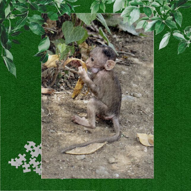 Baby Monkey Jigsaw Puzzle (Creator Uploaded)