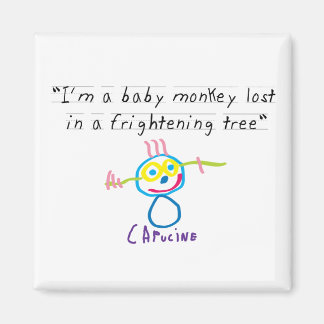 Baby monkey magnet