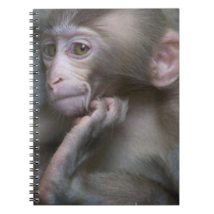 Baby Monkey Notebook