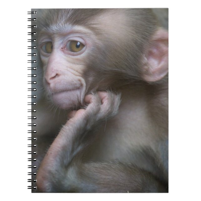 Baby Monkey Notebook (Front)