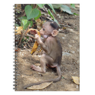 Baby Monkey Notebook
