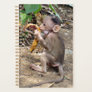 Baby Monkey Planner