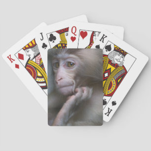 Baby Monkey Playing Cards