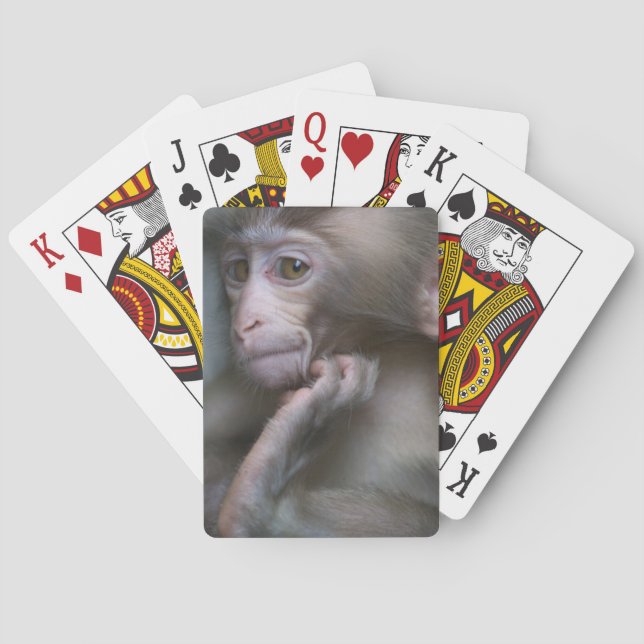 Baby Monkey Playing Cards (Back)