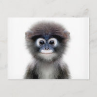baby monkey postcard