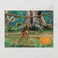 Baby Monkey