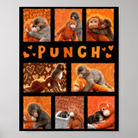 Baby Monkey Punch Mama Monkey Stuff Hugs Kids Men