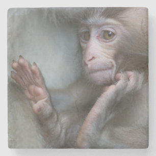 Baby Monkey Stone Coaster