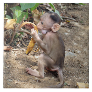 Baby Monkey Tile