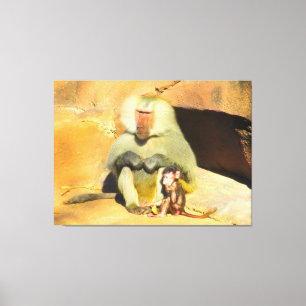 Baby Monkey with Mum Canvas Print